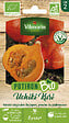 VILMORIN - Potiron Potimarron bio - vignette