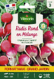 VILMORIN - Radis en mélange Vilmorin - vignette