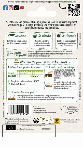 VILMORIN - Tomate Cornue des Andes - Rouge - Sachet de graines 0,3g - large