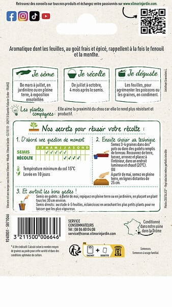 VILMORIN - Aneth officinal - large