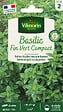 VILMORIN - Basilic fin vert compact - vignette