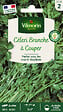 VILMORIN - Céleri à couper - vignette