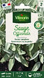VILMORIN - Sauge officinale - vignette