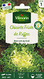 VILMORIN - Chicorée frisée de Ruffec - vignette