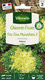 VILMORIN - Chicorée frisée très fine maraîchère 3 - vignette