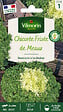 VILMORIN - Chicorée frisée De Meaux - vignette