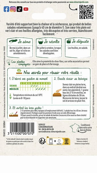 VILMORIN - Chicorée frisée De Meaux - large