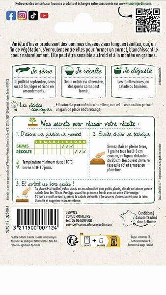 VILMORIN - Graines Chicorée scarole Cornet d'Anjou - Variété automne - large