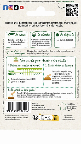 VILMORIN - Chicorée a larges feuilles améliorée blonde - large