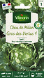 VILMORIN - Chou de Milan Gros des Vertus 4 - Graines - Variété tardive - vignette