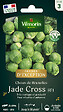 VILMORIN - Chou de Bruxelles - graines - Jade Cross HF1 - 0,8 g - vignette