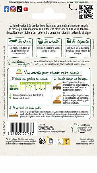 VILMORIN - Cornichon hybride F1 - Parigyno HF1 - Vert - 6 à 8cm - large