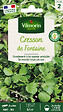 VILMORIN - Graines Cresson de Fontaine Larges Feuilles - Vivace - 1,5g - vignette