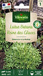 VILMORIN - Laitue Batavia Reine des Glaces frisée de Beauregard - vignette