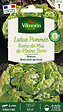VILMORIN - Graines de laitue pommée Reine de mai - Précoce - vignette