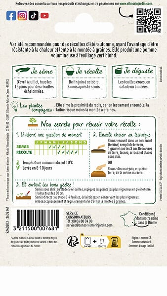 VILMORIN - Laitue Pommée Grosse blonde paresseuse - large