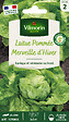 VILMORIN - Laitue d'hiver Merveille d'hiver - vignette