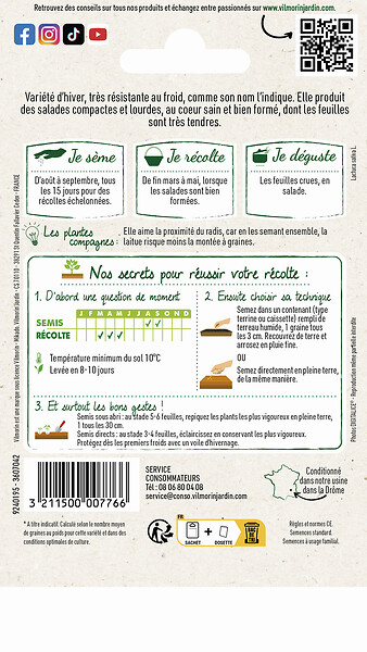 VILMORIN - Laitue d'hiver Merveille d'hiver - large