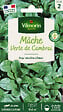 VILMORIN - Mâche verte de Cambrai - vignette