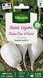 VILMORIN - Graines potagères Navet Blanc dur d'hiver - variété rustique - vignette