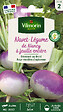 VILMORIN - Navet de Nancy à feuille entière - vignette