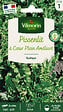 VILMORIN - Pissenlit à coeur plein amelioré - vignette