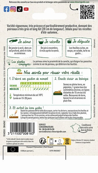 VILMORIN - Poireau géant précoce race Major Selection - large