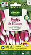 VILMORIN - Radis de 18 jours + échantillon radis expo HF1 - vignette