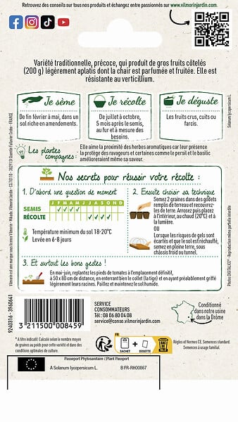 VILMORIN - Tomate Marmande - large