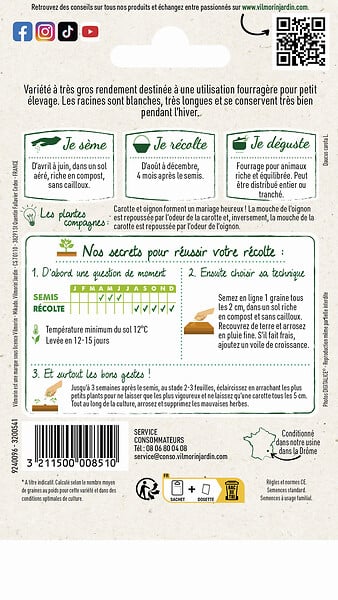 VILMORIN - Carotte VILMORIN Fourragère blanche à collet vert hors terre - large