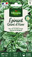 VILMORIN - Epinard géant d'hiver - vignette
