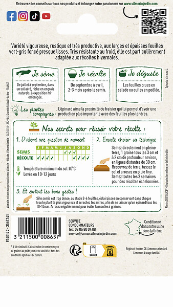 VILMORIN - Epinard géant d'hiver - large