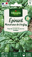VILMORIN - Epinard monstrueux de Viroflay - vignette