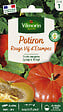 VILMORIN - Potiron rouge vif d'Etampes - vignette