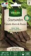 VILMORIN - Graines scorsonère - Géante noire de Russie - Salsifis noir - vignette