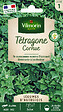 VILMORIN - Tétragone cornue - vignette