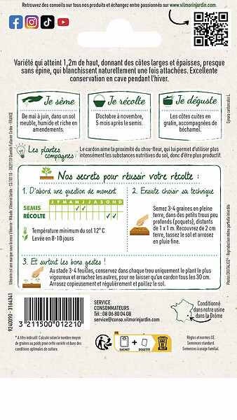 VILMORIN - Cardon plein blanc inerne - large