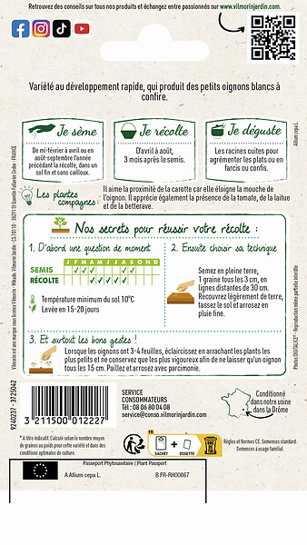 VILMORIN - Oignon blanc de semis - Variété Premier - 3g - large