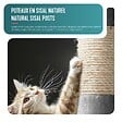 VOUNOT - Arbre a chat 155cm multi niveaux Griffoir et niche Gris - vignette