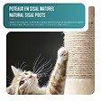 VOUNOT - Arbre a chat 155cm multi niveaux Griffoir et niche Beige - vignette