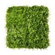 EASY CLOTURE - Mur végétal artificiel extérieur et intérieur 1m x 1m fougère - vignette