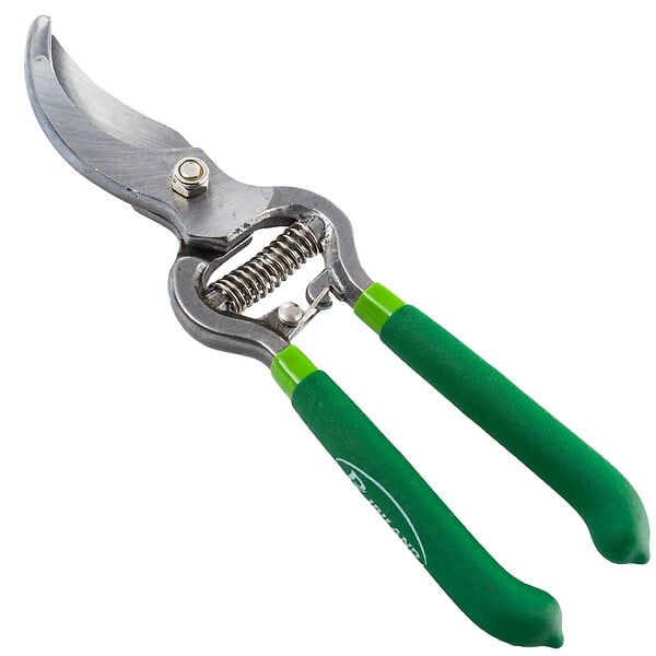 RIBIMEX - Sécateur forgé lames courbes 250 mm - large