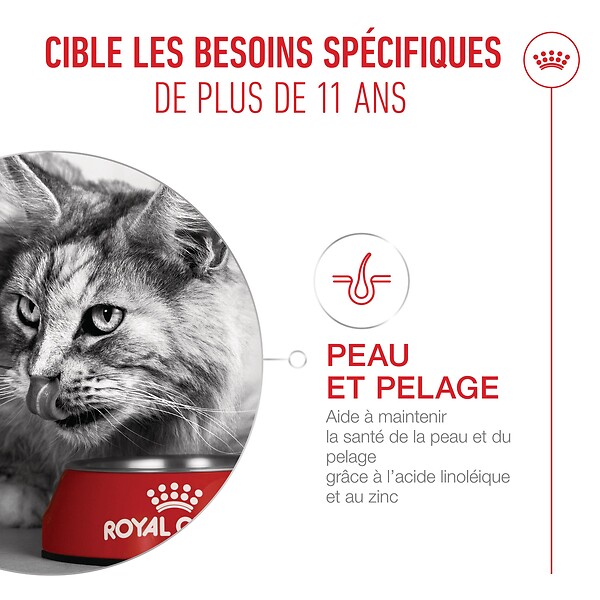 ROYAL CANIN - Ageing 11+ sterilised 4kg - large