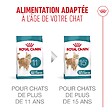 ROYAL CANIN - Ageing 11+ sterilised 4kg - vignette