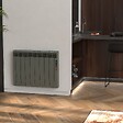 ROINTE - Radiateur connecté EOINIQ 8 éléments 1200W Tarpaulin Grey - ROINTE - ERFG1200RAD2 - vignette