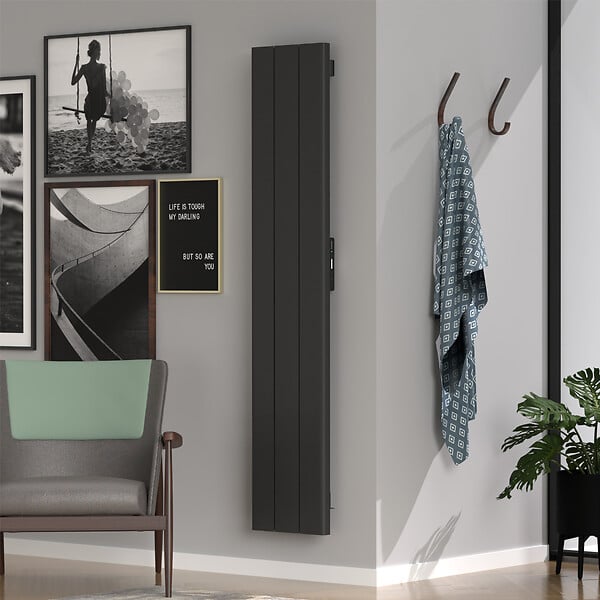 ROINTE - Radiateur PALAOS connecté 4 éléments 2000W Anthracite - ROINTE - PIB2000WF - large