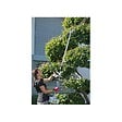 IKRA - Outils de Jardin Multifonction Thermique 4 en 1 Taille haie + Élagueuse + Débroussailleuse (lame et bobine) IKRA - vignette
