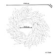 BELIANI - Couronne décorative GAMRUN 70 cm Vert - vignette