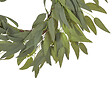 BELIANI - Couronne décorative GAMRUN 70 cm Vert - vignette