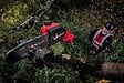 EINHELL - Élagueuse sur perche GP-LC 18/20 Li T BL-Solo - 18V - OREGON 18cm - manche télescopique- sans batterie/chargeur - vignette